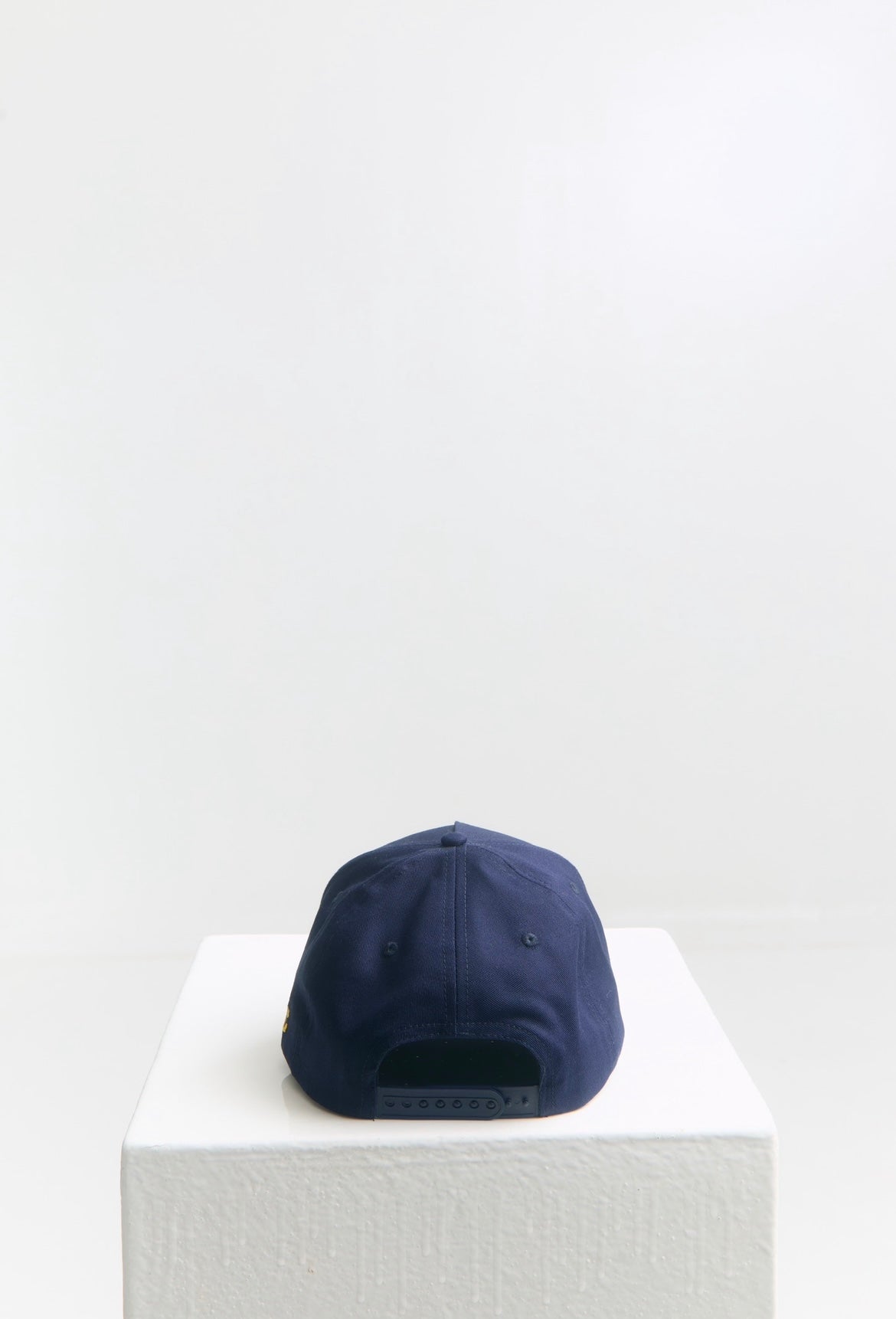 The Retro Snapback