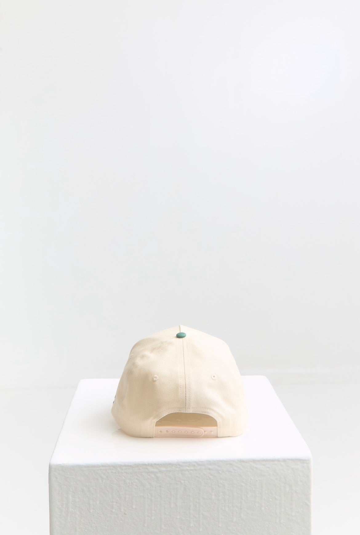 The Signature Snapback